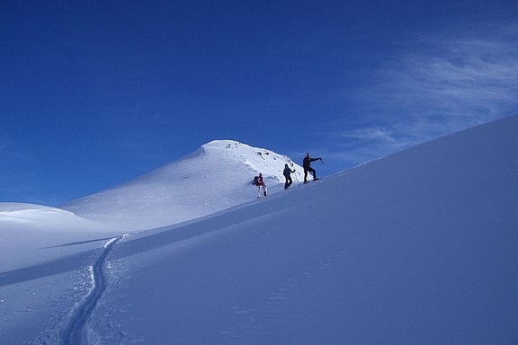 Ski touring through the snow